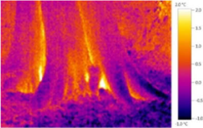 Thermal Imaging Camera (TI)