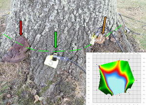 Sonic Tomography (SOT)